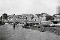 Freya in Westterschelling